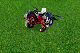 Toro Rake
