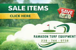 View our sales today